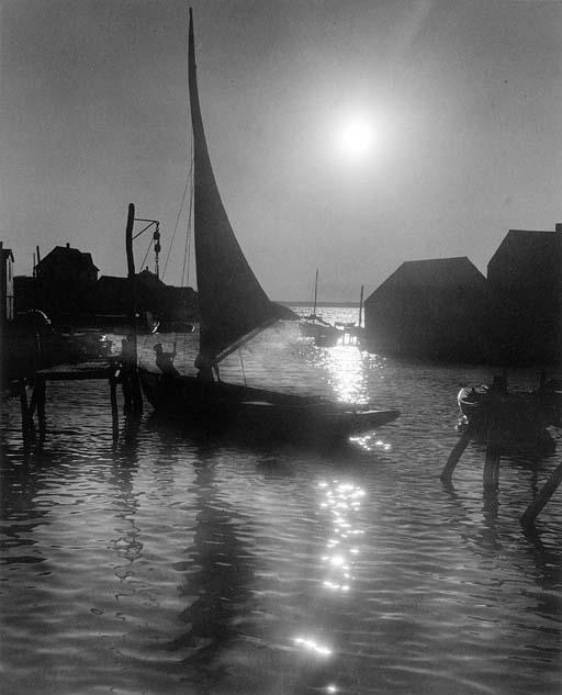 A. Aubrey Bodine - Moose Cove