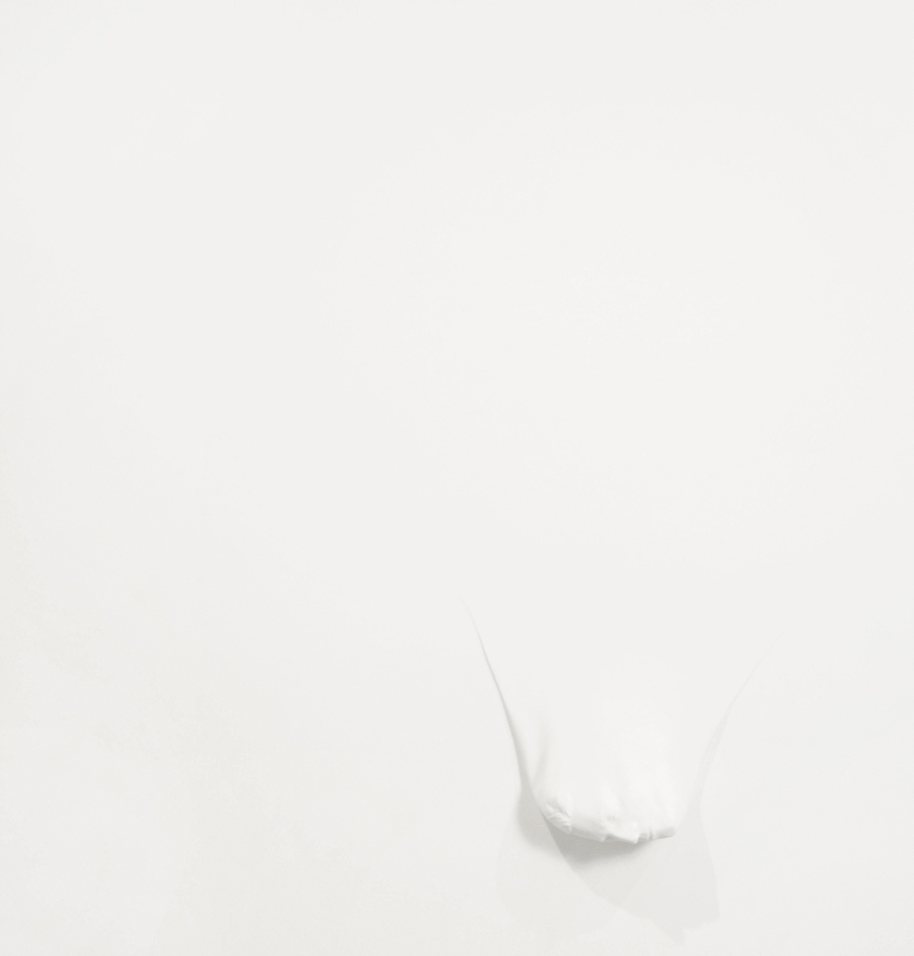 A. Balasubramaniam - Gravity