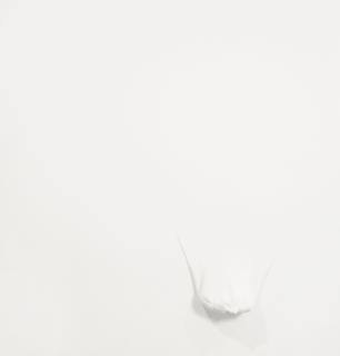 A. Balasubramaniam - Gravity