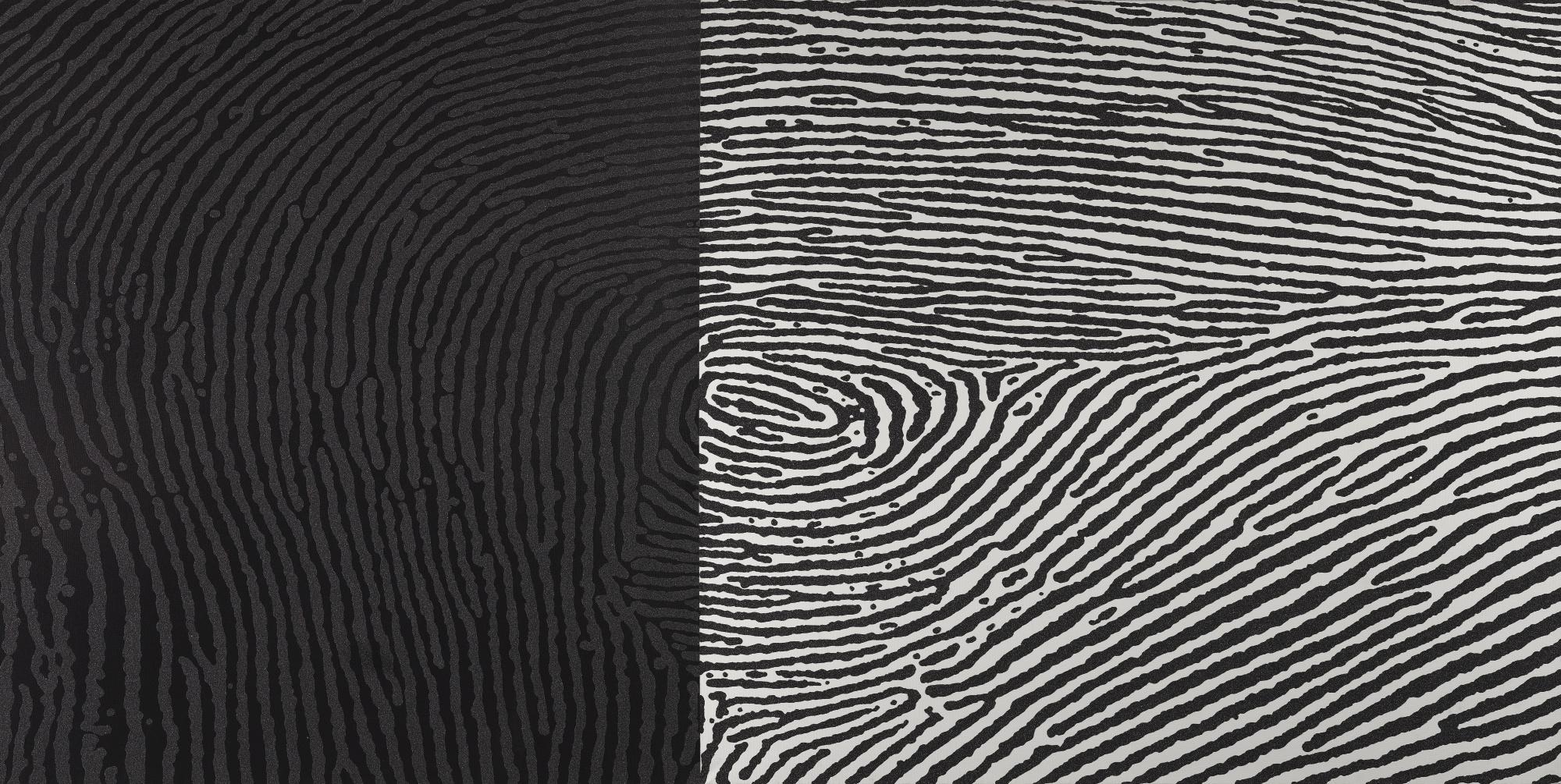 A. Balasubramaniam - Traces (Diptych)