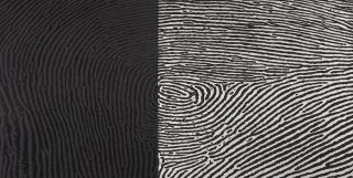 A. Balasubramaniam - Traces (Diptych)