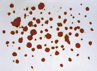 A. Balasubramaniam - Untitled