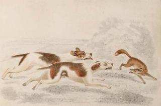 A. East - Hounds in a landscape; and Hounds cornering a fox