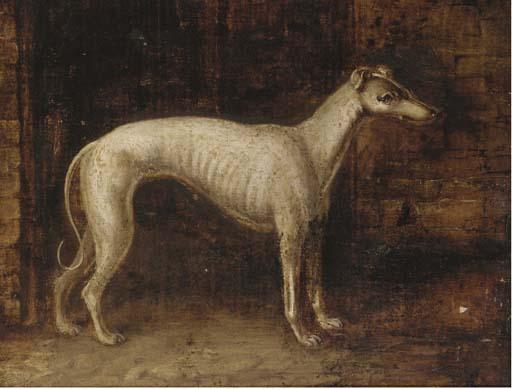 A Prize Greyhound