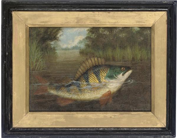 A. Roland Knight - A perch rising