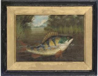 A. Roland Knight - A perch rising