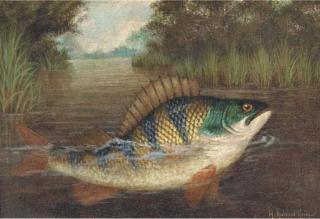 A. Roland Knight - A Perch Rising