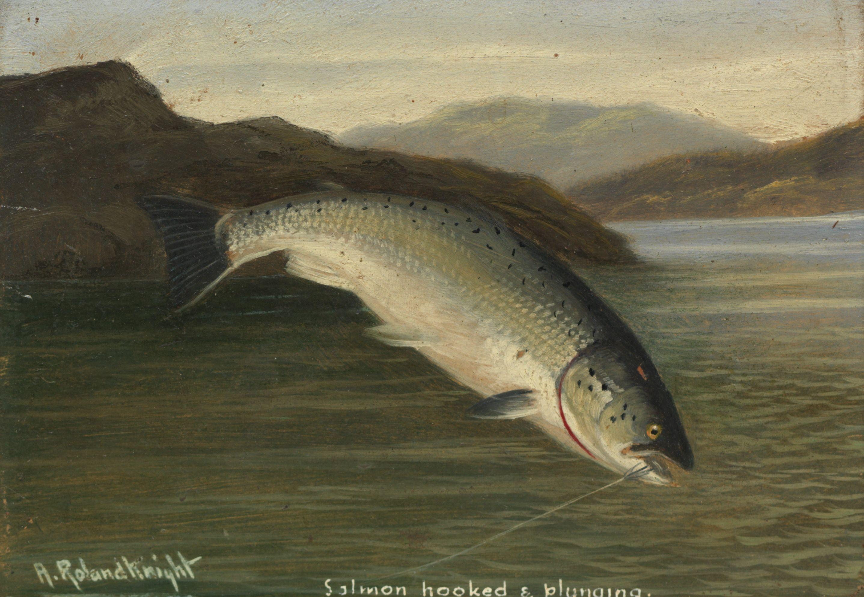 A. Roland Knight - A Run Of 5 Oils Of Fishing Subjects, To Include Salmon, Pike And Trout 12.5 X 18 Cm (4 15/16 X 7 1/16 In.