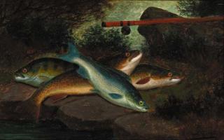 A. Roland Knight - A trout, grayling and a perch