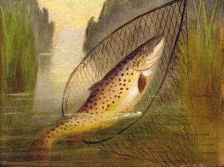 A. Roland Knight - A Trout In A Net; And A Salmon On A Line