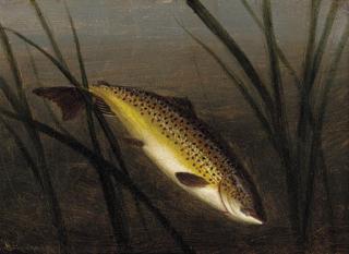 A. Roland Knight - A Trout On A Line; And A Trout Leaping