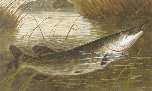 A. Roland Knight - Hooking A Pike