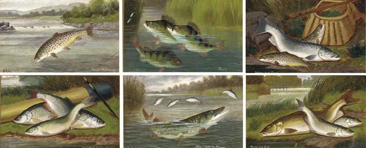 A. Roland Knight - Perch; Salmon and Trout; Roach; Pike; Barbel and Chub; and Trout -the first leap