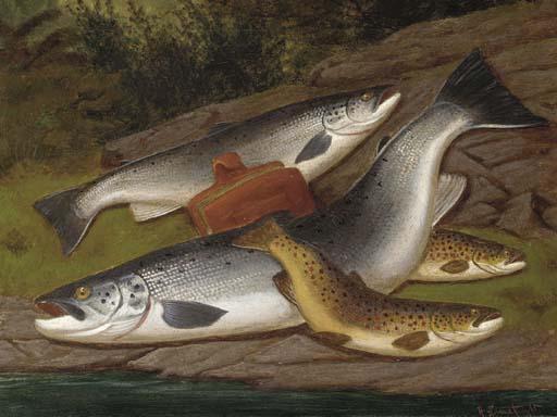A. Roland Knight - Salmon, Grilse and Brown Trout