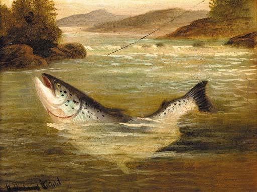 A. Roland Knight - Still waters run deep