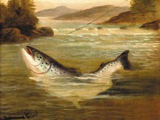 A. Roland Knight - Still waters run deep