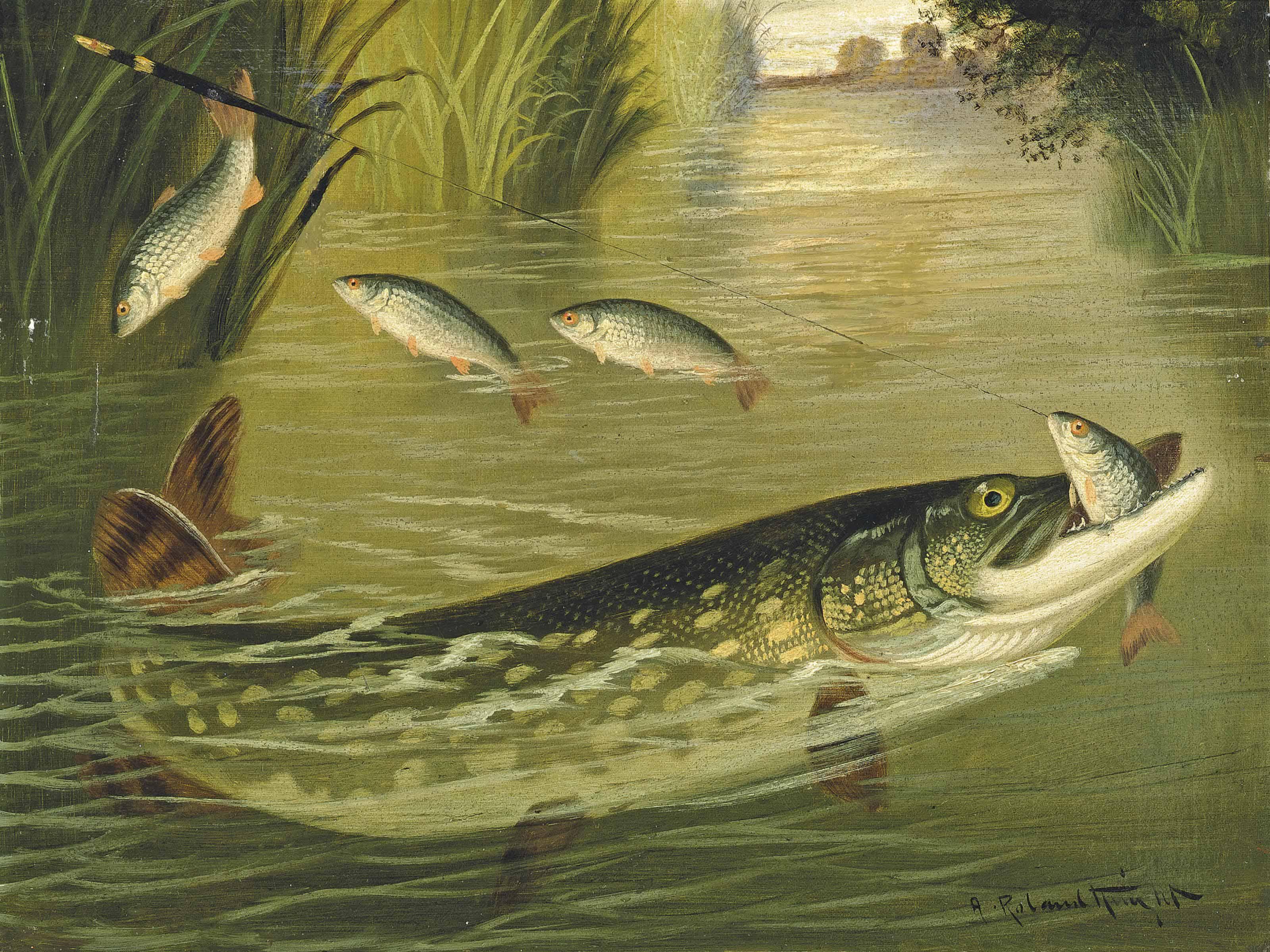 A. Roland Knight - The Four That Got Away!