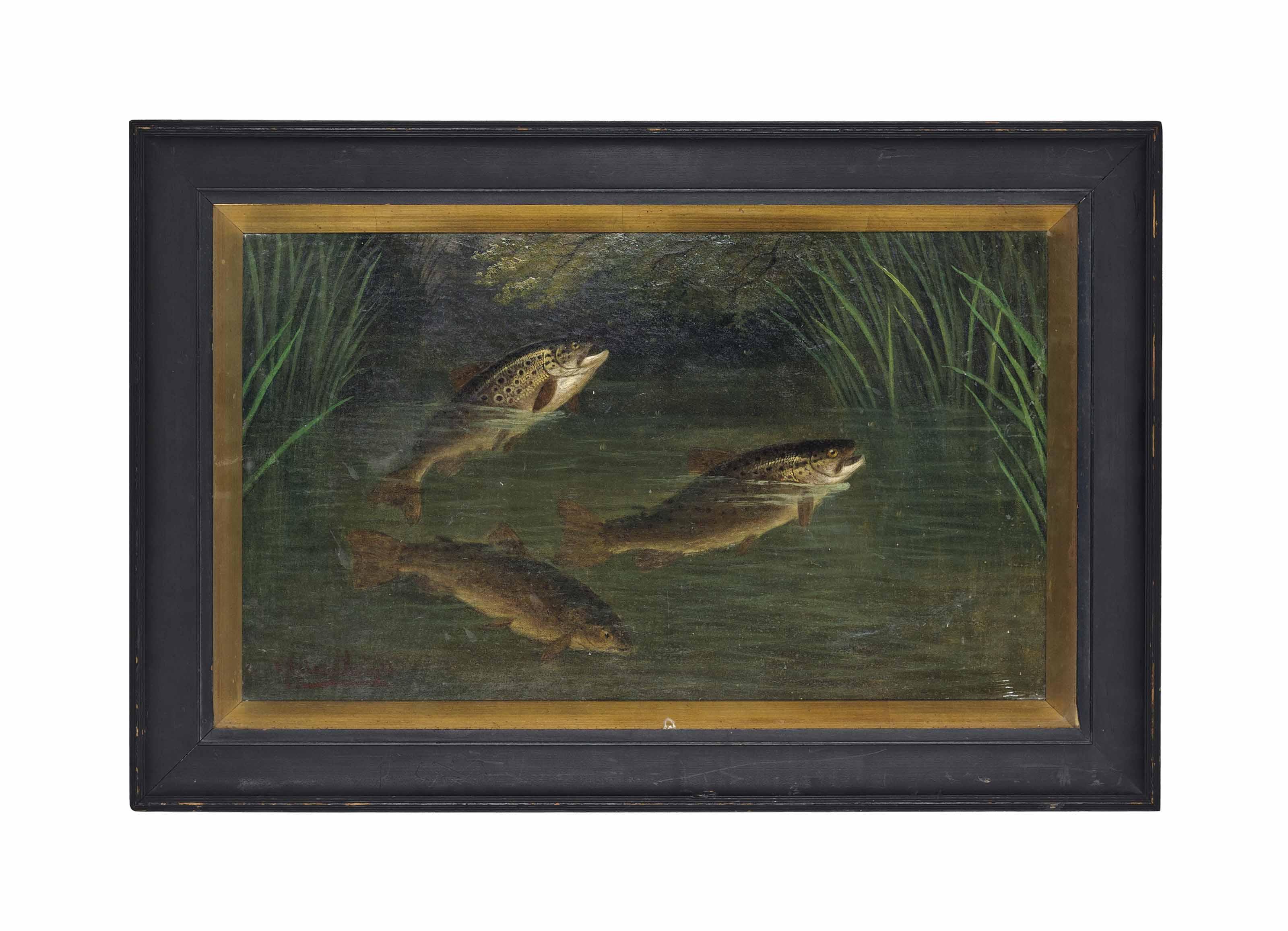 A. Roland Knight - Trout In A River