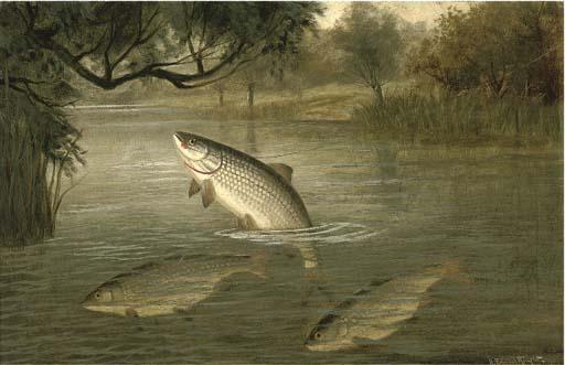 A. Roland Knight - Whipping The Willows For Chubb