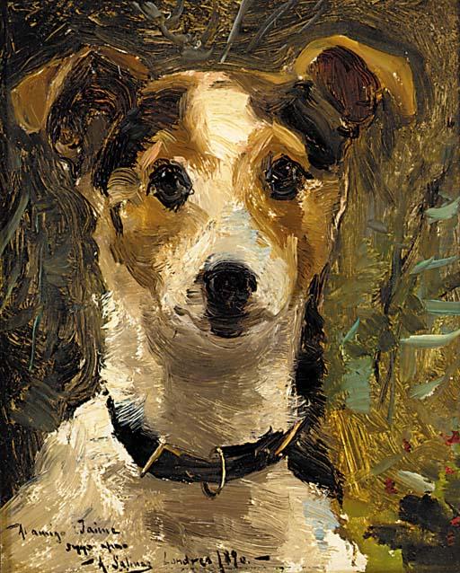 A. Salinas - The head of a terrier