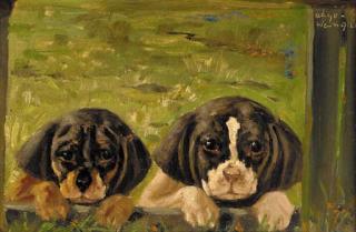 Aage Wang - Inquisitive puppies