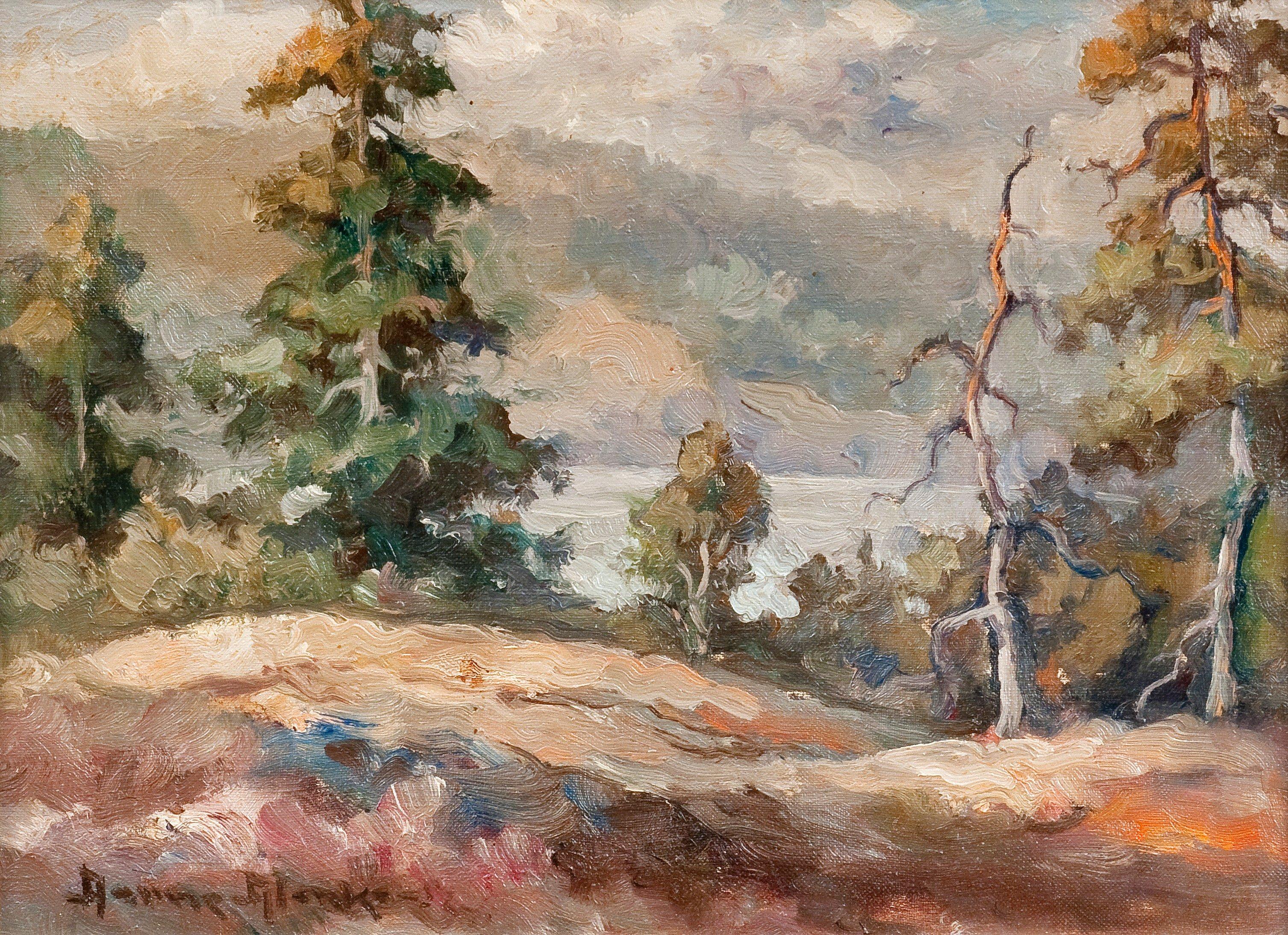 Aarne Alanko - Forest Landscape.