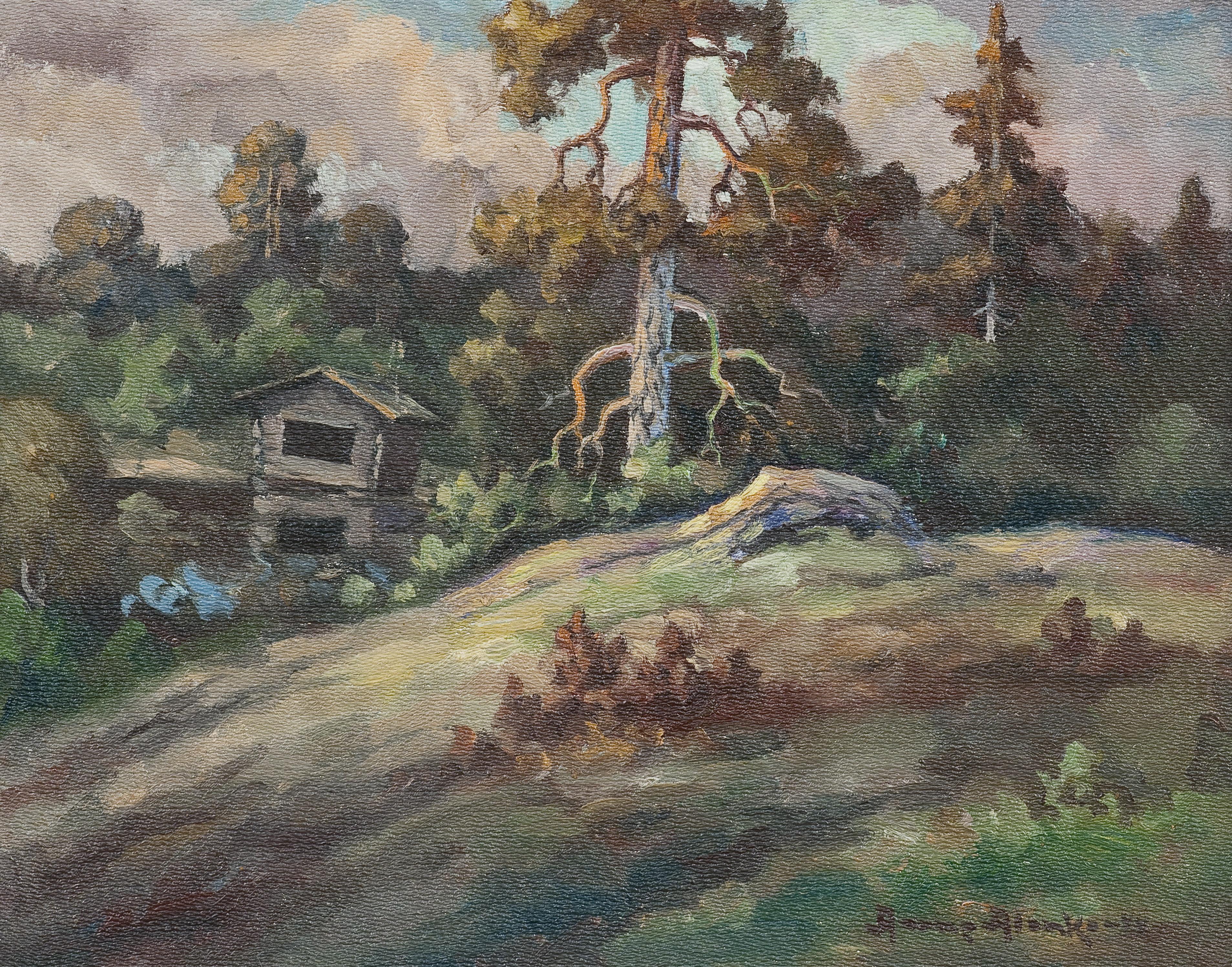 Aarne Alanko - Forest Tarn.