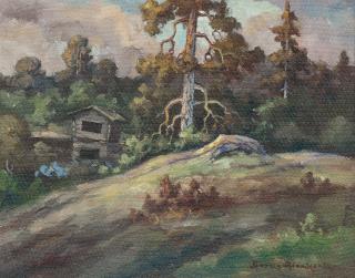 Aarne Alanko - Forest Tarn.