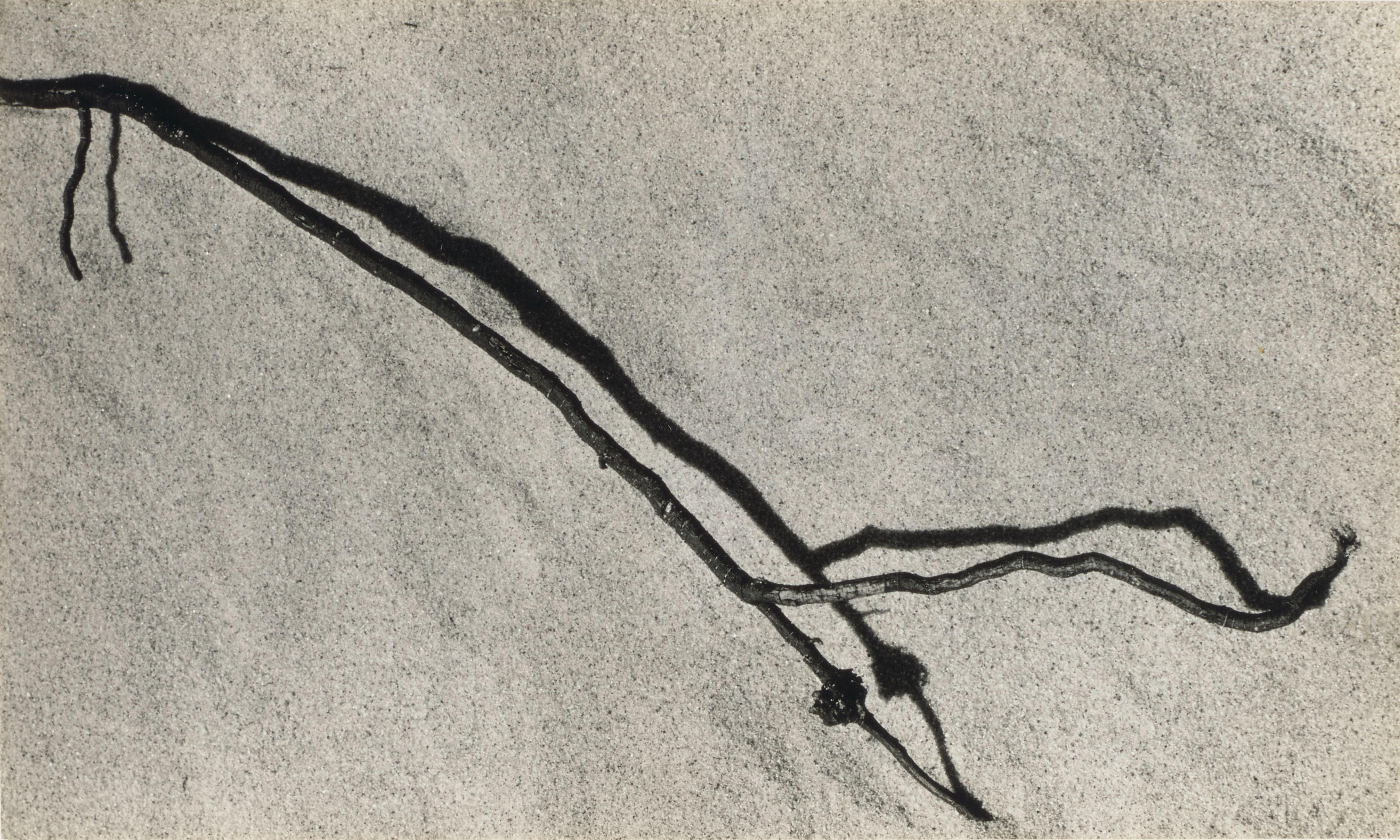 Aaron Siskind - Chilmark 18