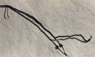 Aaron Siskind - Chilmark 18