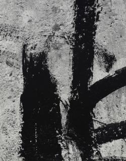 Aaron Siskind - San Luis Potosi, Mexico 23, 1961