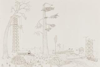 Aaron Spangler - Old Dead Trees