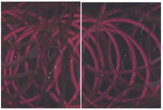 Aaron Young - Arc Light (Moscow)