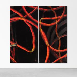 Aaron Young - Greeting Card (Armory, diptych)