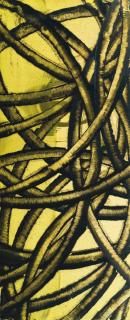 Aaron Young - Skid Mark