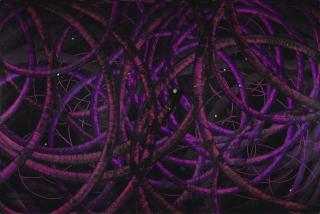 Aaron Young - Untitled (Triptych)