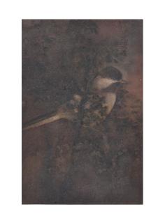 Abanindranath Tagore - Untitled (Bird On Tree)