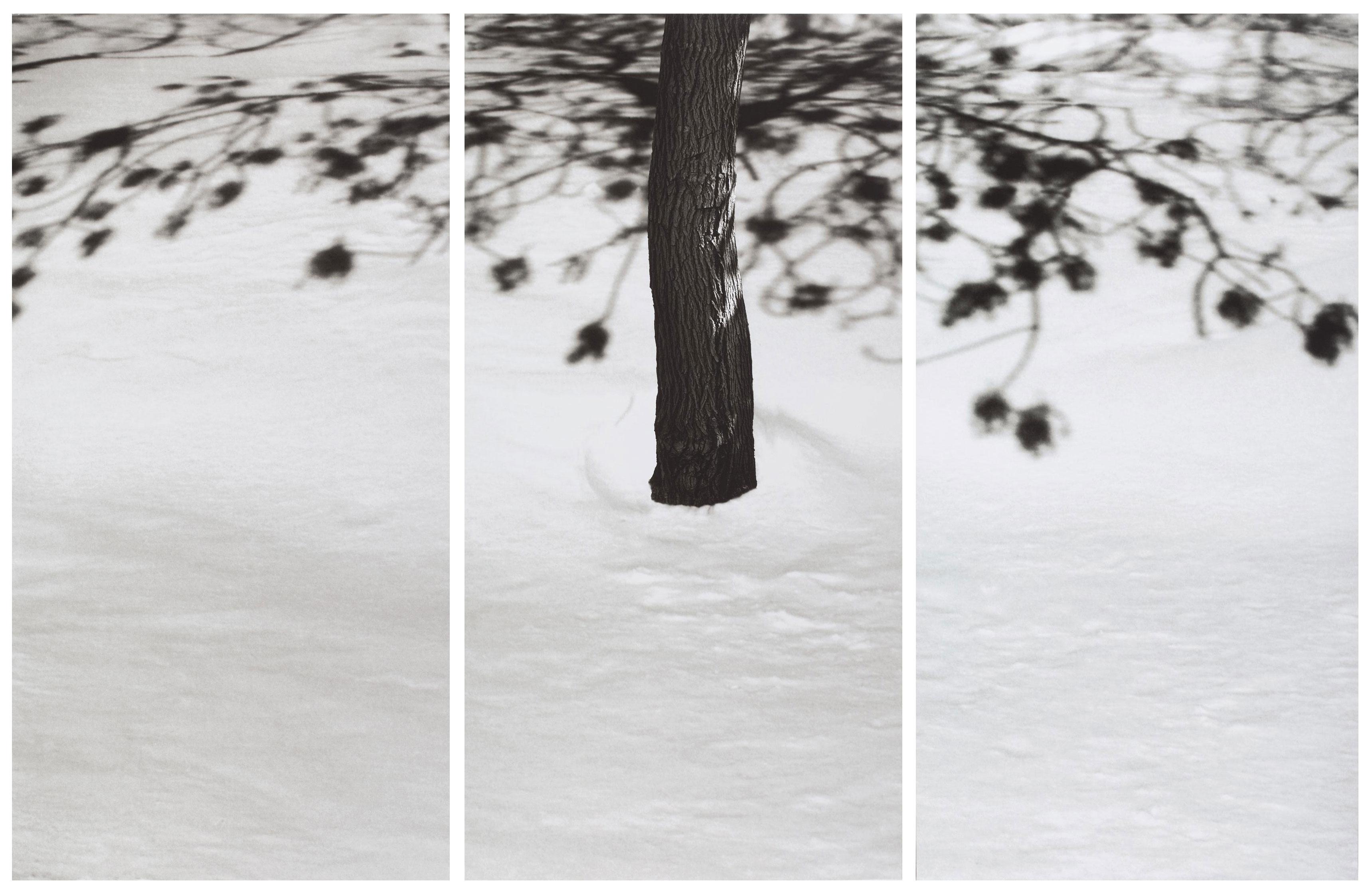 Abbas Kiarostami - Snow White