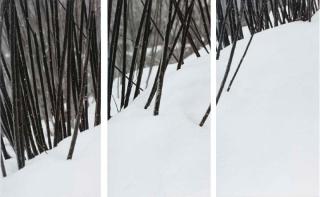 Abbas Kiarostami - Snow White