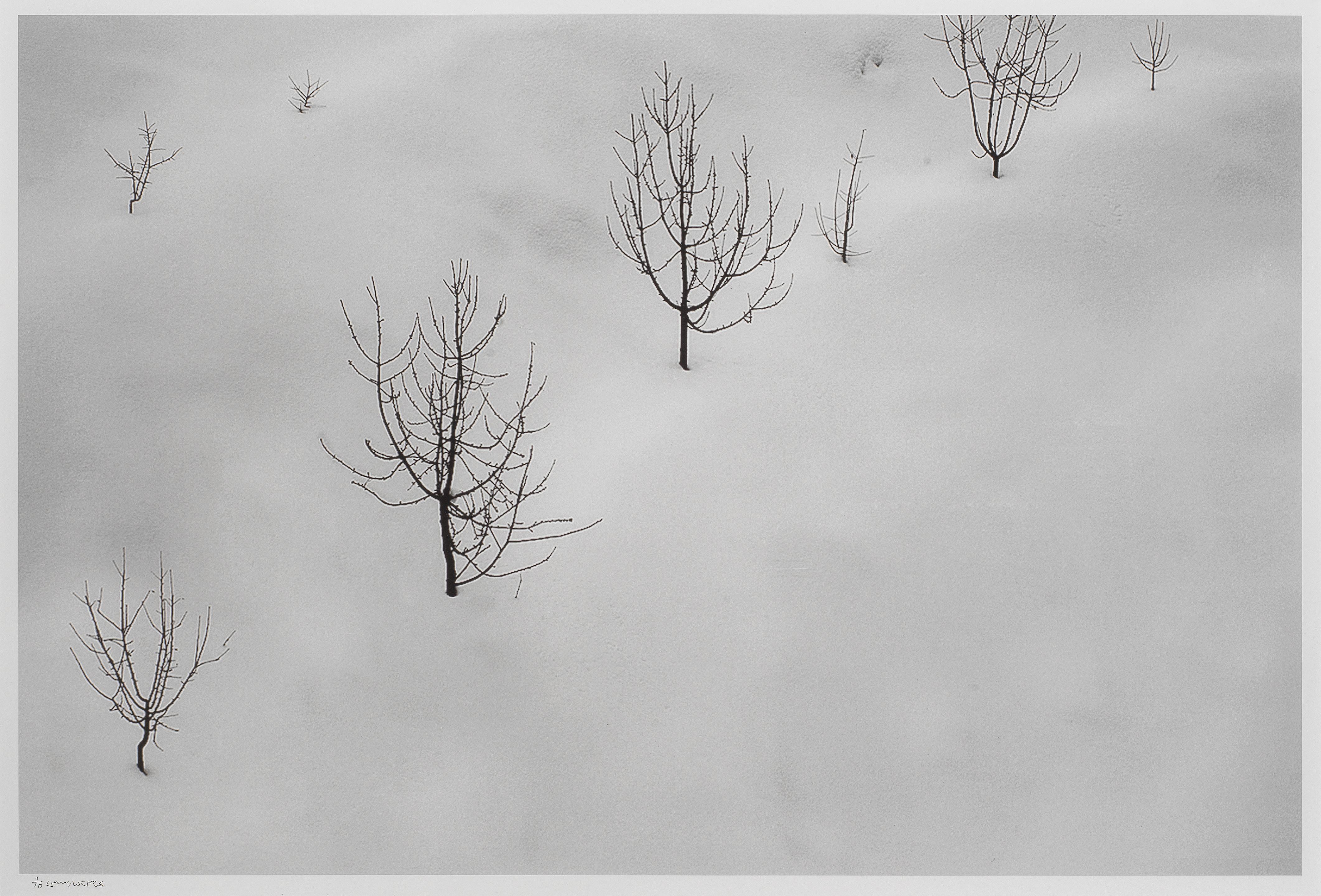 Abbas Kiarostami - Untitled from the \