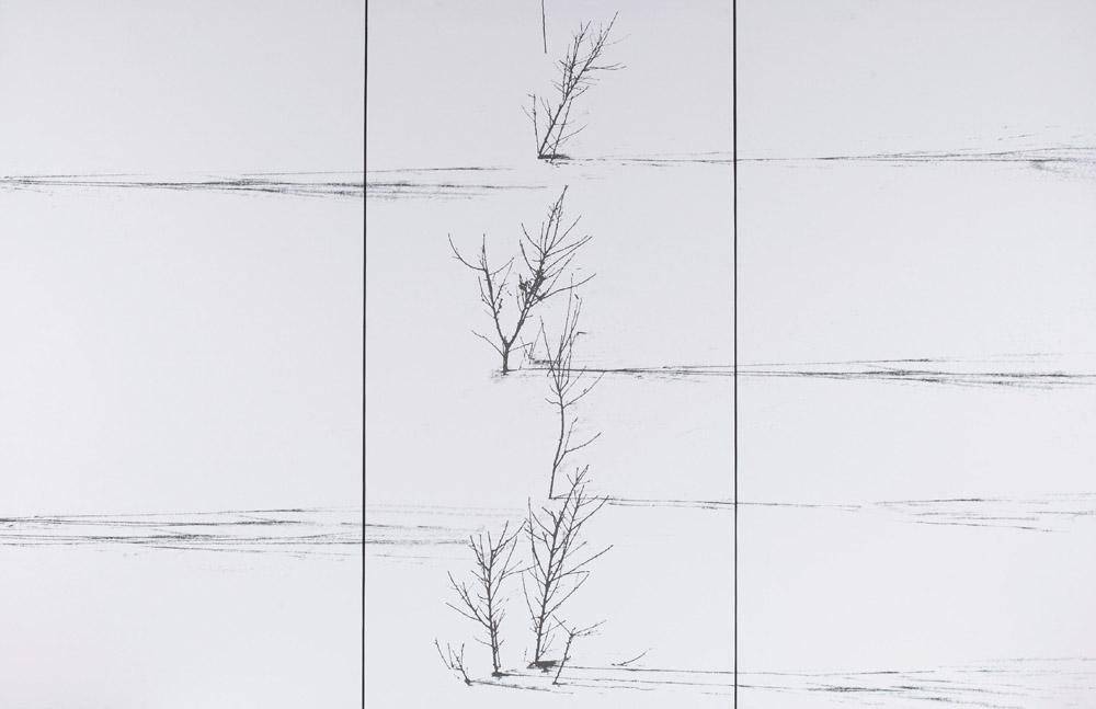 Abbas Kiarostami - Untitled (From The Snow White Series)