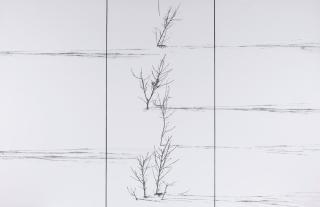 Abbas Kiarostami - Untitled (From The Snow White Series)