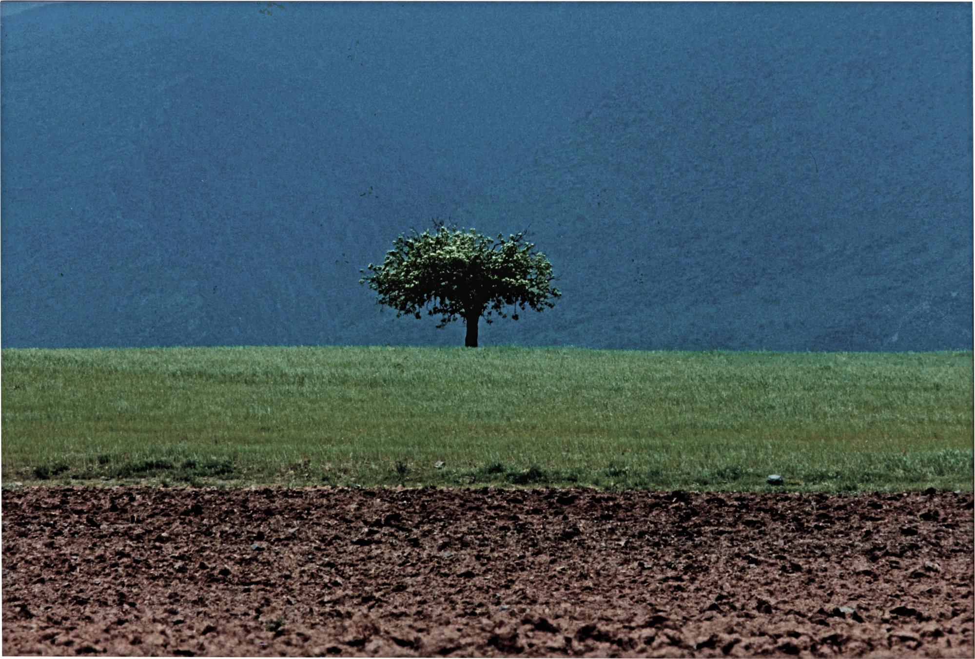 Abbas Kiarostami - Untitled (U.S.A. 27 bis)