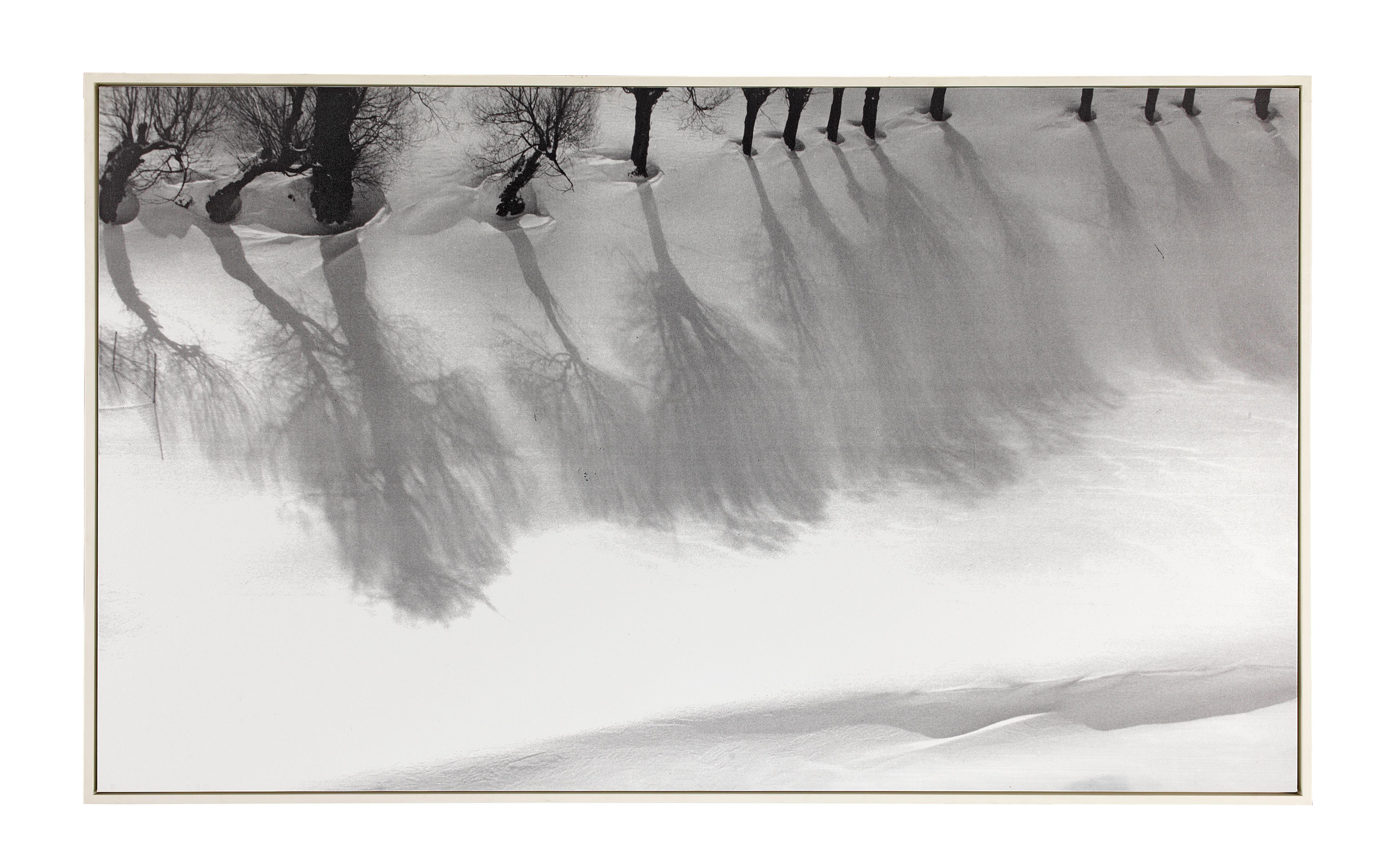 Abbas Kiarostami - White Snow