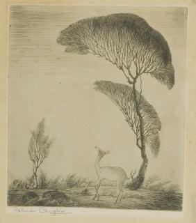 Abdur Rahman Chughtai - Untitled (Deer under tree)