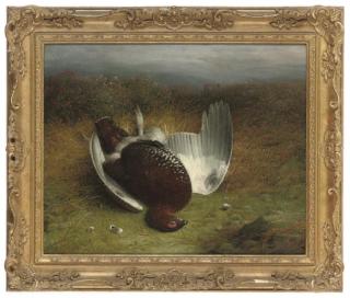Abel Hold - A dead grouse on a moor