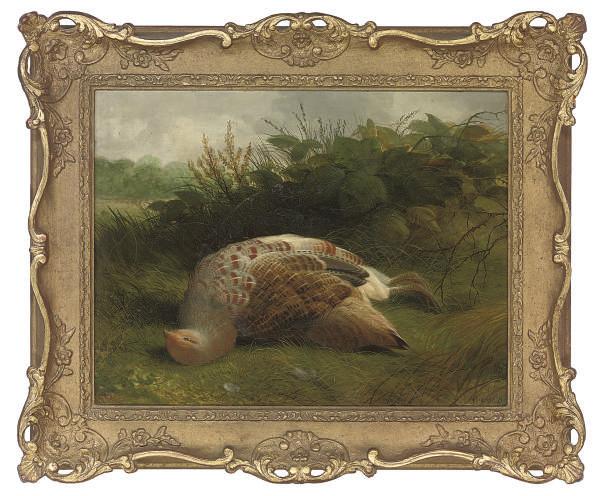 Abel Hold - A dead partridge