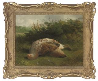 Abel Hold - A dead partridge