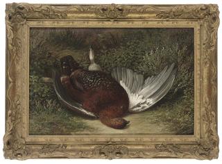 Abel Hold - A great shot