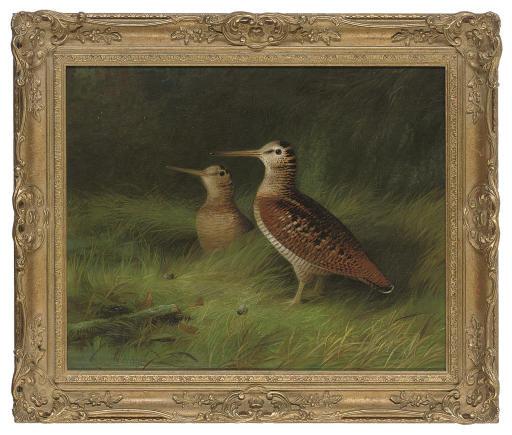 Abel Hold - A pair of woodcock